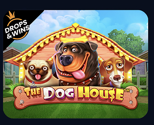 The dog house