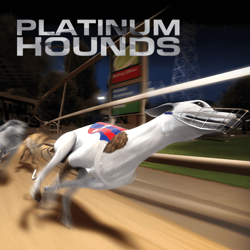 Platinum hounds